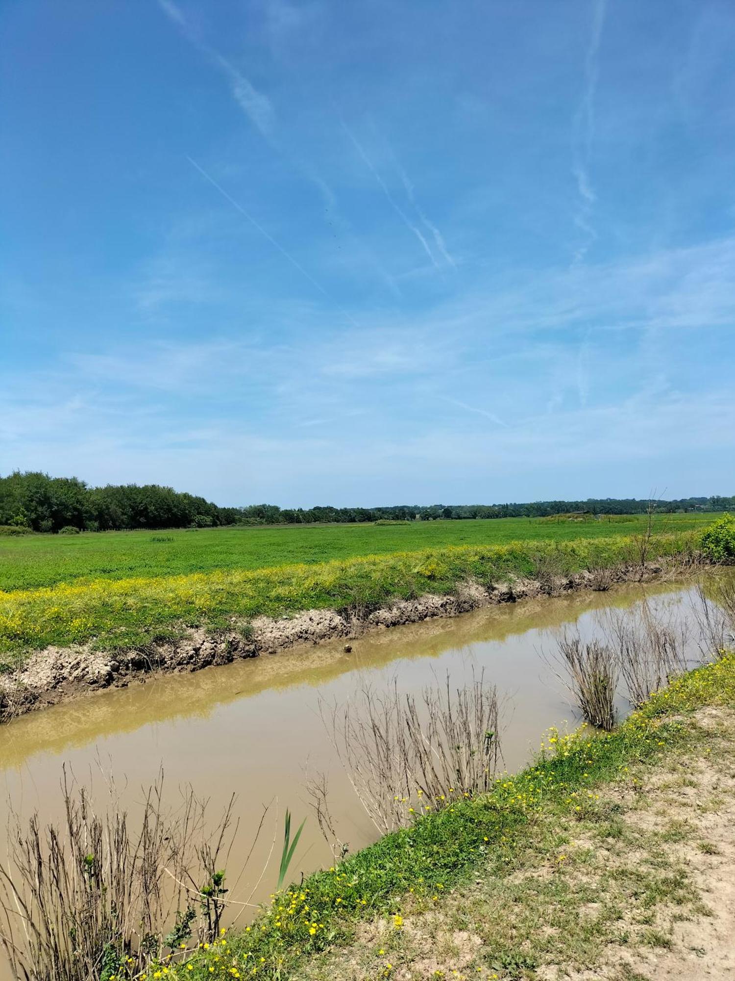 Studio Proche Des Thermes, Des Barthes, Des Plages Et De Dax ! Saubusse エクステリア 写真